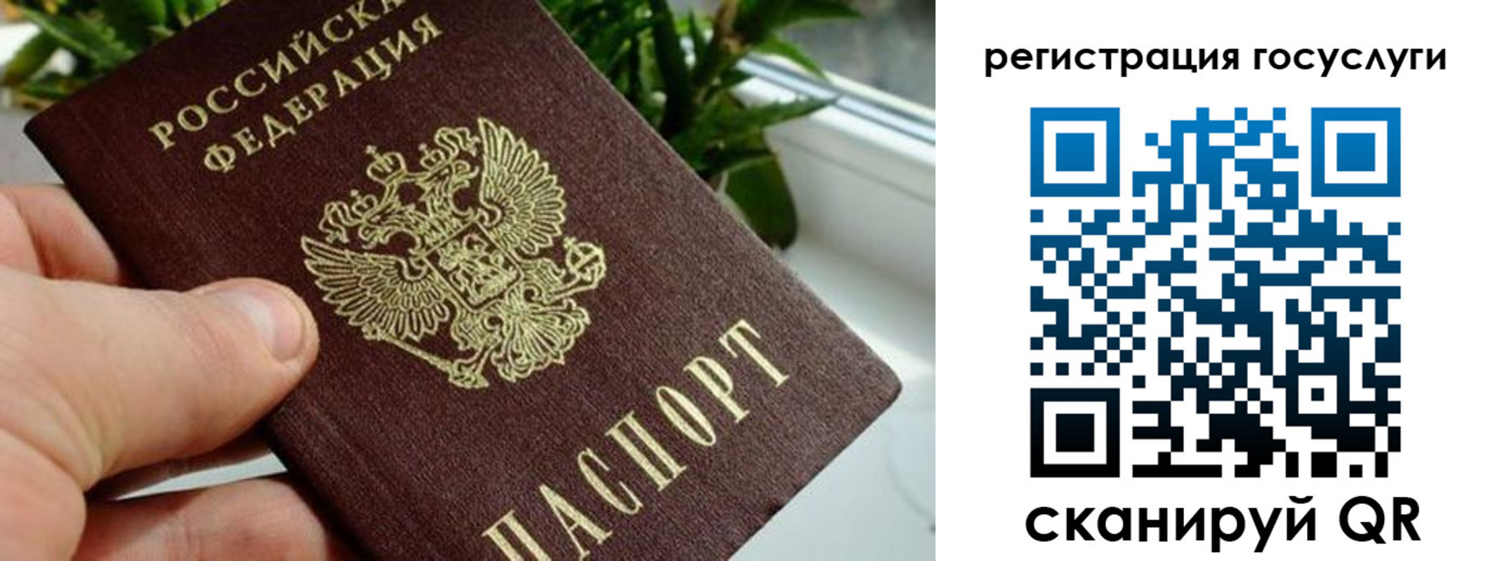прописка для кредита в Сланцах